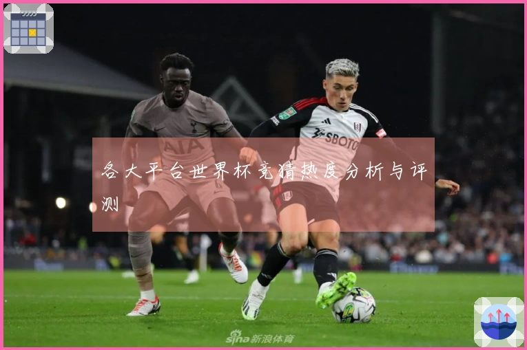 各大平台世界杯竞猜热度分析与评测