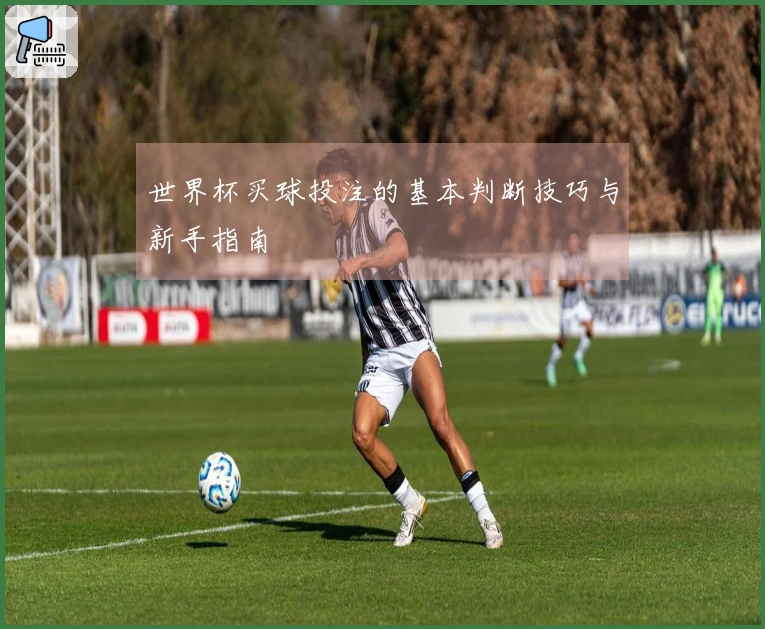 世界杯买球投注的基本判断技巧与新手指南