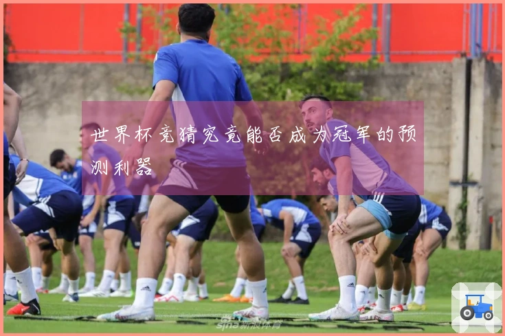 世界杯竞猜究竟能否成为冠军的预测利器
