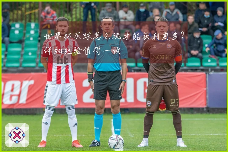 世界杯买球怎么玩才能获利更多？详细经验值得一试