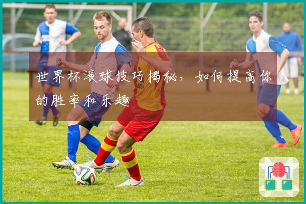 世界杯滚球技巧揭秘，如何提高你的胜率和乐趣