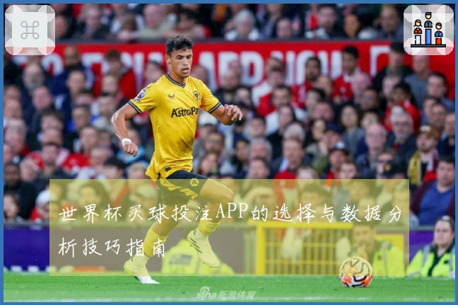 世界杯买球投注APP的选择与数据分析技巧指南