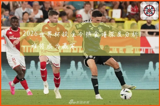 2026世界杯投注冷热食谱深度分析，谁将成为赢家