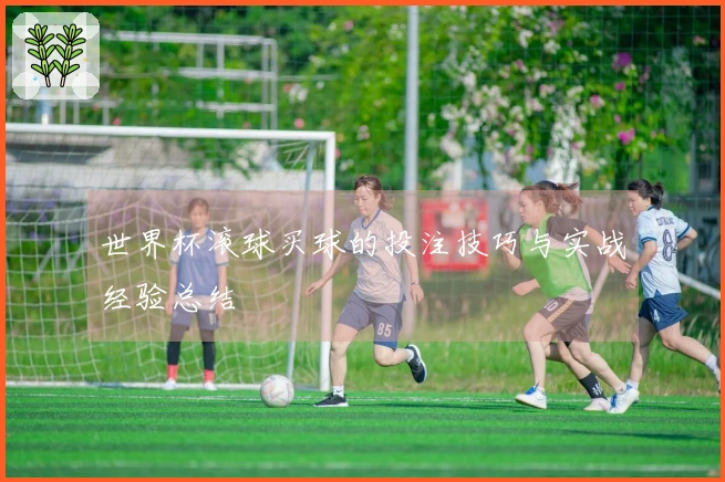 世界杯滚球买球的投注技巧与实战经验总结