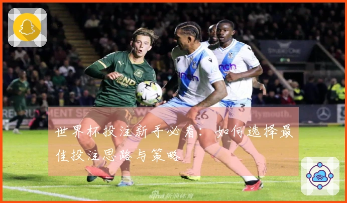 世界杯投注新手必看：如何选择最佳投注思路与策略