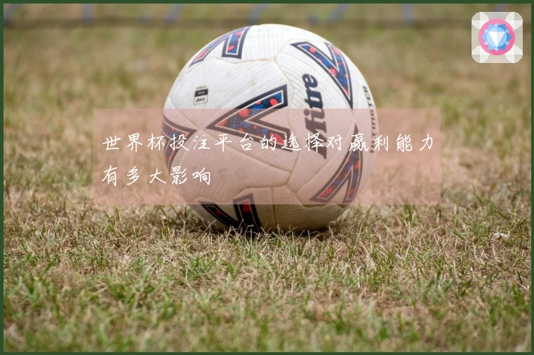世界杯投注平台的选择对赢利能力有多大影响