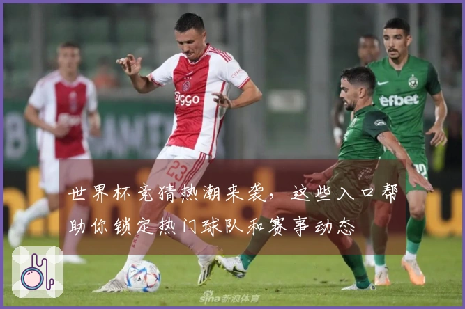 世界杯竞猜热潮来袭，这些入口帮助你锁定热门球队和赛事动态