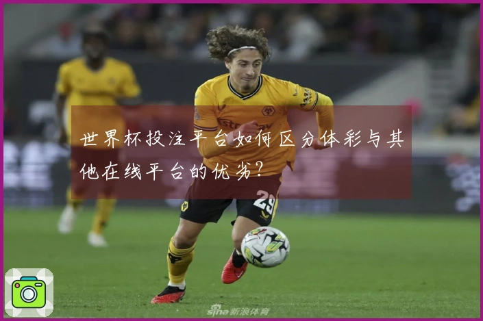 世界杯投注平台如何区分体彩与其他在线平台的优劣？