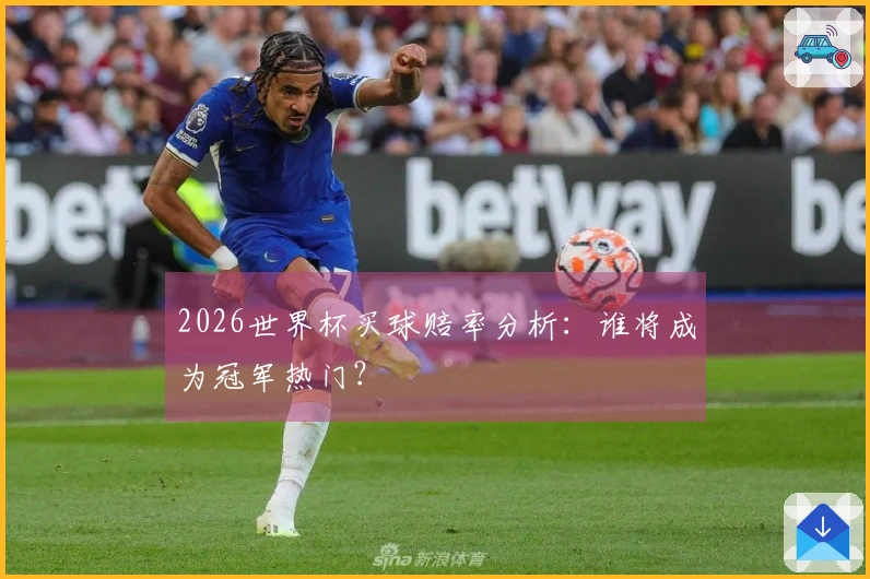 2026世界杯买球赔率分析：谁将成为冠军热门？