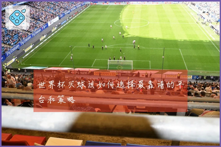 世界杯买球该如何选择最靠谱的平台和策略